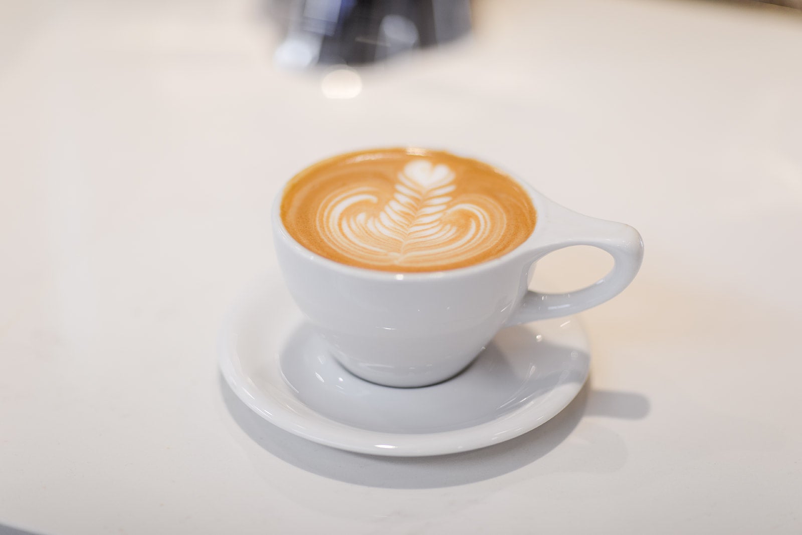 Latte | 42 & Lawrence